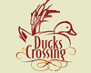 Ducks Crossing on Burton